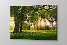 Obraz Potulky po Slovensku 1675